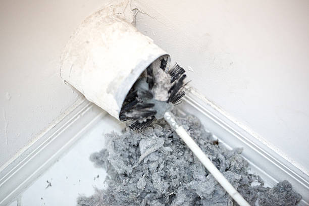 Best Emergency Air Duct Cleaning  in Tladega, AL